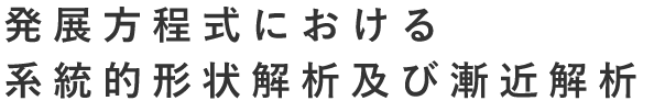 発展方程式における系統的形状解析及び漸近解析